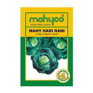 mahyrani mahyrani