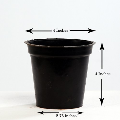 4-icnhes-pot 4-icnhes-pot
