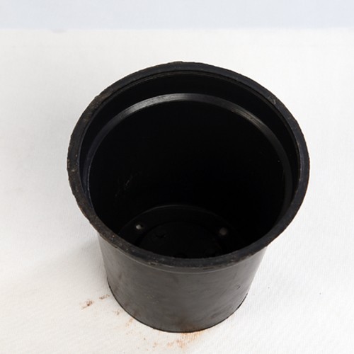 4-icnhes-pot2 4-icnhes-pot2