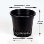 blackorchidpot5inch1