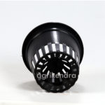 blackorchidpot5inch3