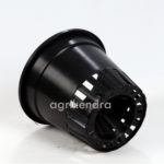 blackorchidpot5inch4