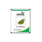 stella1