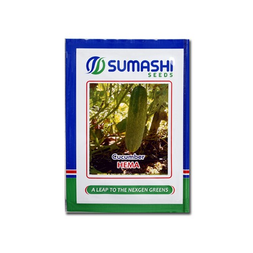 sumashi cucumber hema
