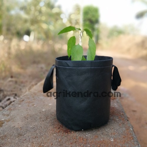 Fabric Grow bags for terrace garden Non Woven Grow Bag Online India