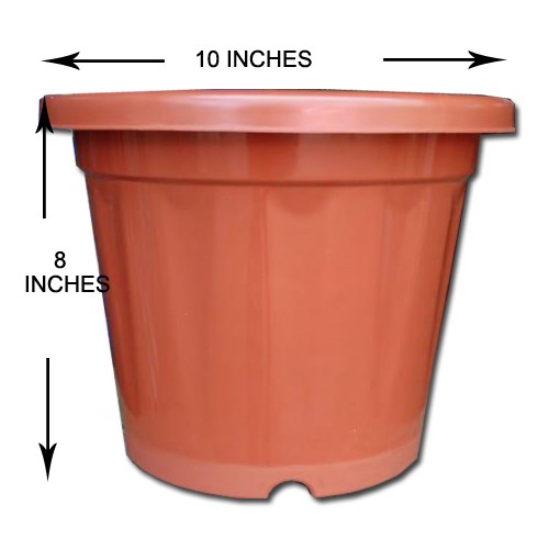 plastic-pot-10-inches-terra