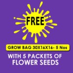 Free-301616-flower5