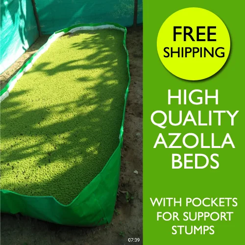 Azolla Bed Online India | Azolla Growing Bed Price Online India