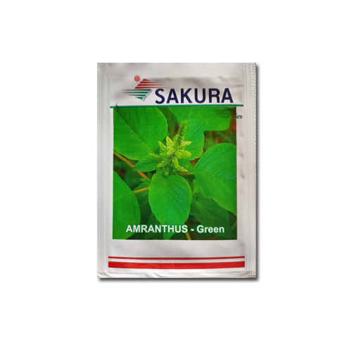 amaranthus-green