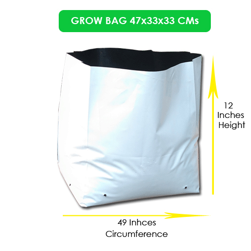 Large Grow Bags 50x28x28 cms 28 28 50 Grow Bags Online