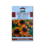 rudbekia-sunset-mix