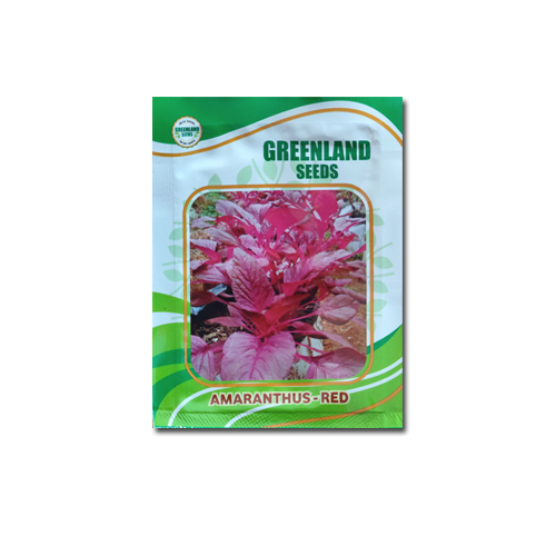 amaranthus-red