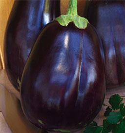 brinjal4 brinjal4