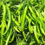 Guntur Chilli Seeds