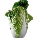 chinese-cabbage
