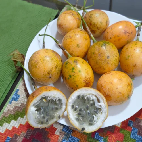 Kodaikanal Sweet passion fruit seeds