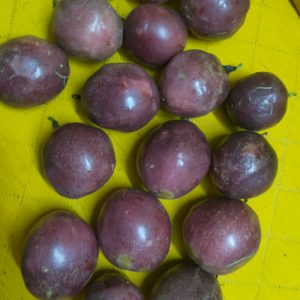 purple passion fruit