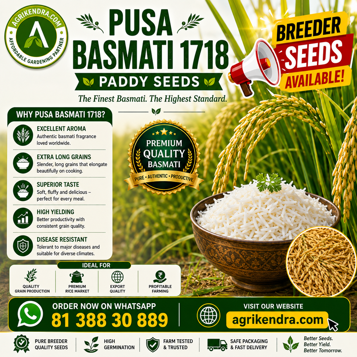 Pusa Basmati 1718 Premium Paddy Seeds Pusa Basmati 1718 Premium Paddy Seeds