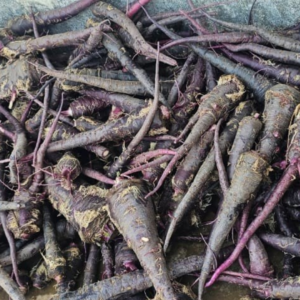 Black Carrot Seeds