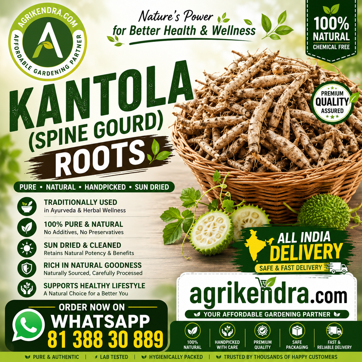 Kantola Roots spine gourd tubers