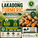 Lakadong Turmeric Rhizomes