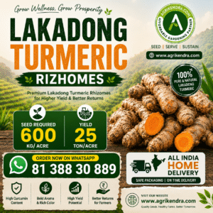 Lakadong Turmeric Rhizomes