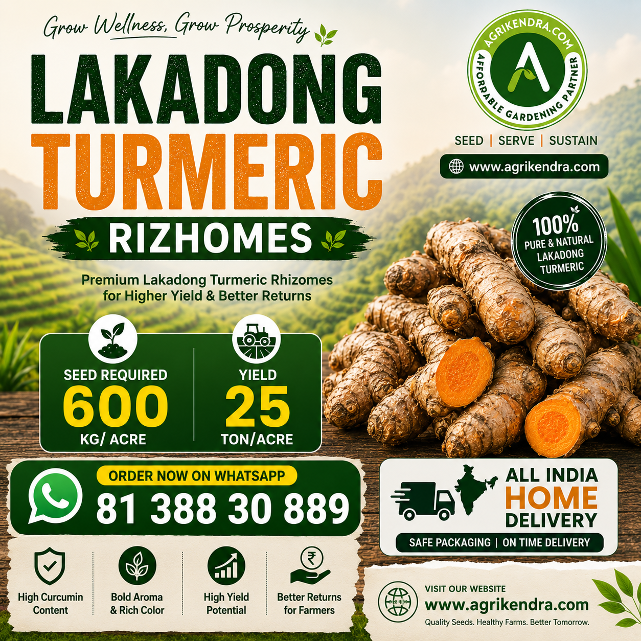 Lakadong Turmeric Rhizomes