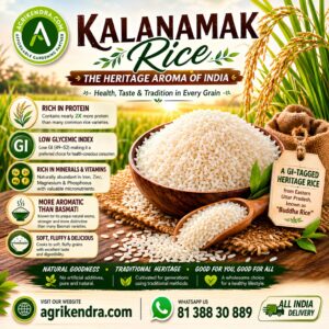 Kalanamak Paddy Seeds | Premium GI Tagged Heritage Rice Kalanamak Paddy Seeds | Premium GI Tagged Heritage Rice