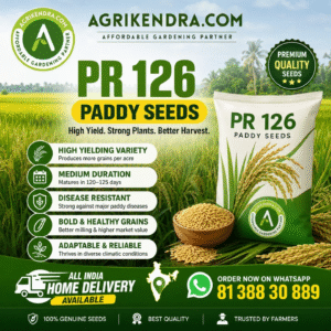 PR 126 Paddy Seeds | Premium High Yield Rice Seeds | Agrikendra