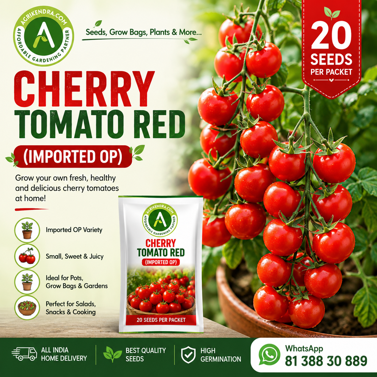 Cherry Tomato Red (Imported OP) Seeds