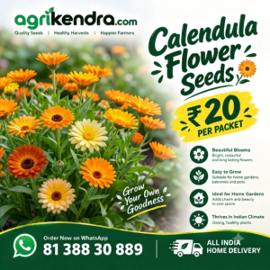 Calendula Mixed Flower Seeds
