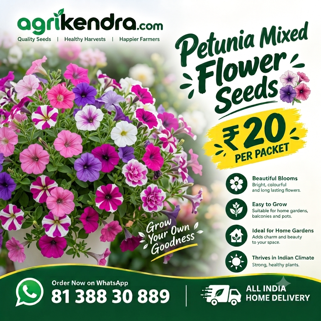 Petunia Mixed Flower Seeds (OP)